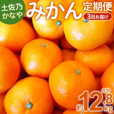 土佐乃かなや 数量限定3回定期便 Wbe-0020