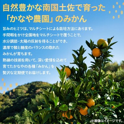 土佐乃かなや 数量限定3回定期便 Wbe-0020