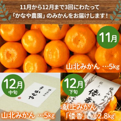 土佐乃かなや 数量限定3回定期便 Wbe-0020