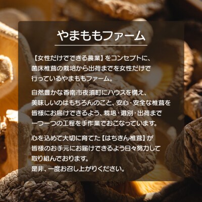 しいたけ 椎茸 3か月定期便 訳あり 生椎茸 3kg(250g×12袋) Wyo-0016