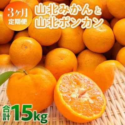 【3回定期便柑】柑橘 山北の味覚 山北みかん・山北ポンカン 合計15kg Wyk-0032