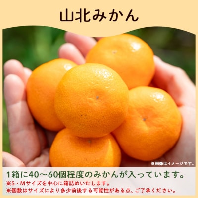 【3回定期便柑】柑橘 山北の味覚 山北みかん・山北ポンカン 合計15kg Wyk-0032