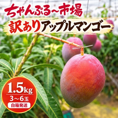 【2027年6月から順次発送・訳あり】アップルマンゴー1.5kg(3～6玉)