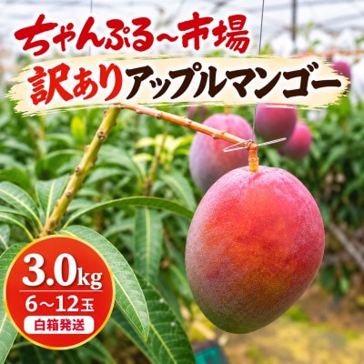 【2027年6月から順次発送・訳あり】アップルマンゴー3.0kg(6～12玉)