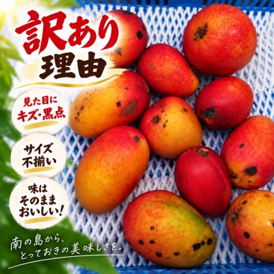【2027年6月から順次発送・訳あり】アップルマンゴー3.0kg(6～12玉)