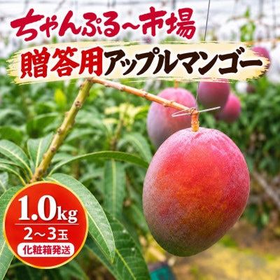 【2027年7月上旬から順次発送・贈答用】アップルマンゴー1.0kg(2～3玉)