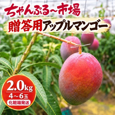 【2027年7月上旬から順次発送・贈答用】アップルマンゴー2.0kg(4～6玉)