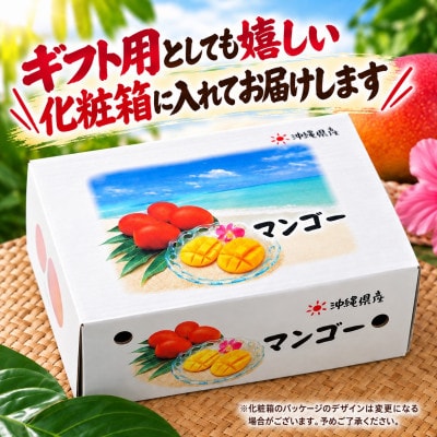 【2027年7月上旬から順次発送・贈答用】アップルマンゴー2.0kg(4～6玉)