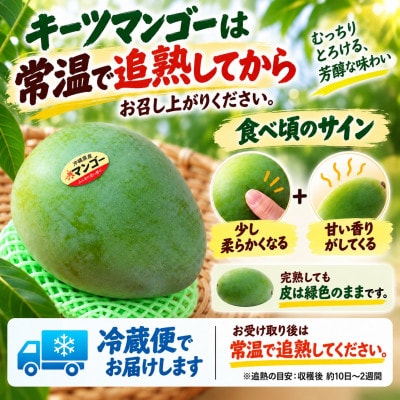 【2027年8月から順次発送・贈答用】大玉キーツマンゴー2kg(2～3玉)