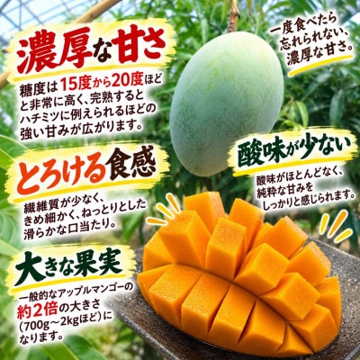 【2027年8月から順次発送・贈答用】大玉キーツマンゴー2kg(2～3玉)