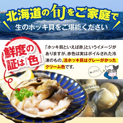 【数量限定】 獲れたて直送 ホッキ貝 約4kg