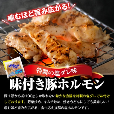 王様のジンギスカンセット【王様のジンギスカン+ホルモン+軟骨 各1袋 計1.5kg】