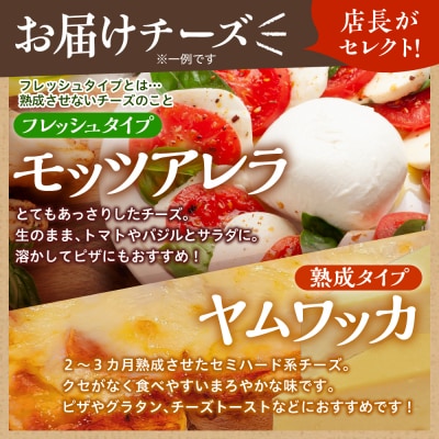 ナチュラルチーズ 詰め合わせ 店長セレクト Fermier (農家製)