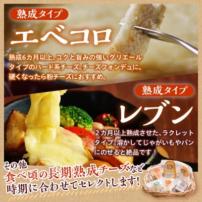 ナチュラルチーズ 詰め合わせ 店長セレクト Fermier (農家製)