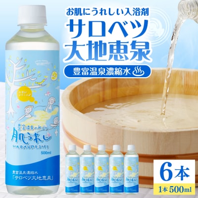 豊富温泉 濃縮温泉水 サロベツ大地恵泉 (500ml×6本)
