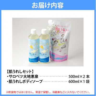 豊富温泉 濃縮温泉水サロベツ大地恵泉 (500ml×2本) & ボディー