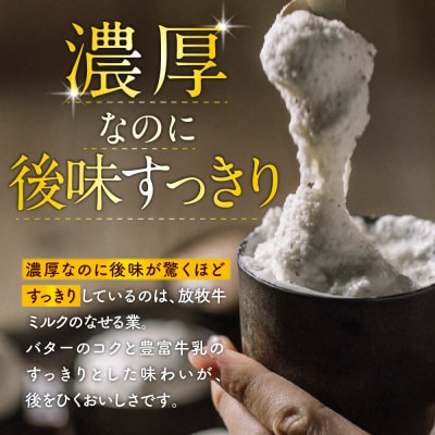 とよとみバタージェラート【塩ミルク12個セット】