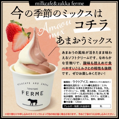 とよとみ牛乳ソフトクリーム【ミルク/ショコラミックス/季節のミックス 各120ml 計12個】