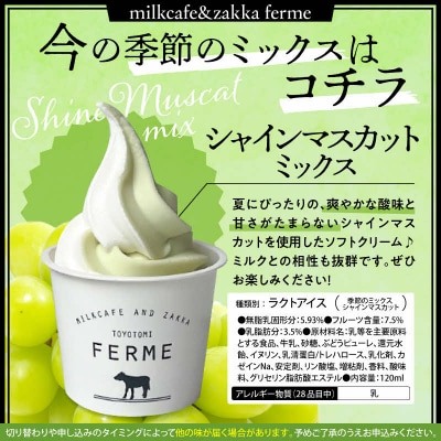 とよとみ牛乳ソフトクリーム【ミルク/ショコラミックス/季節のミックス 各120ml 計12個】