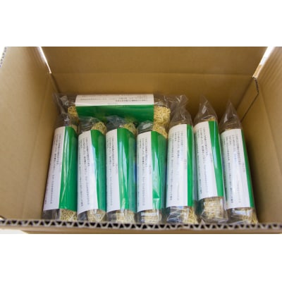 サロベツラーメン 2食入×8袋 合計16人前