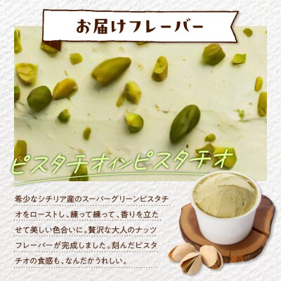 E.den(エデン) 豊富牛乳ジェラート ピスタチオインピスタチオ 100ml×6個