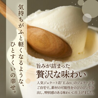 E.den(エデン) 豊富牛乳ジェラート ストロベリーソースミルク 100ml×6個