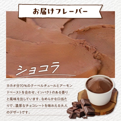 E.den(エデン) 豊富牛乳ジェラート ショコラ 100ml×6個