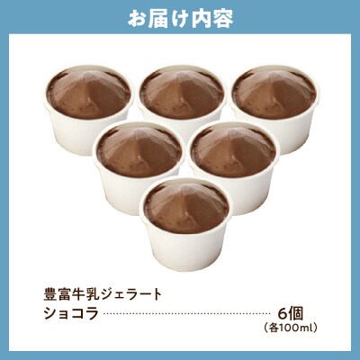 E.den(エデン) 豊富牛乳ジェラート ショコラ 100ml×6個