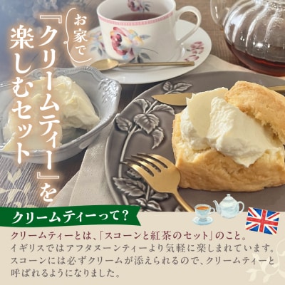 【定期便 3か月】温泉スコーンとクロテッドクリーム&フレーバーバターセット 