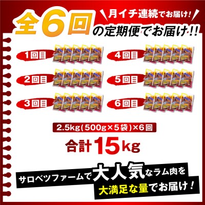 【6か月定期便】王様のジンギスカン(味付きラムロース)5袋(2.5kg)×6回 計15kg