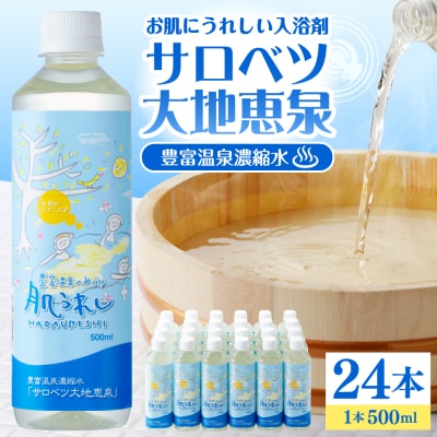 豊富温泉 濃縮温泉水 サロベツ大地恵泉 (500ml×24本)