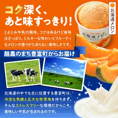 【3か月定期便】とよとみ牛乳 北海道アイスクリーム 3種食べ比べ 110ml×12個