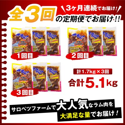 【定期便 3か月】焼肉ジンギスカンセット【王様のジンギスカン1袋+味付きラムジンギスカン2袋】