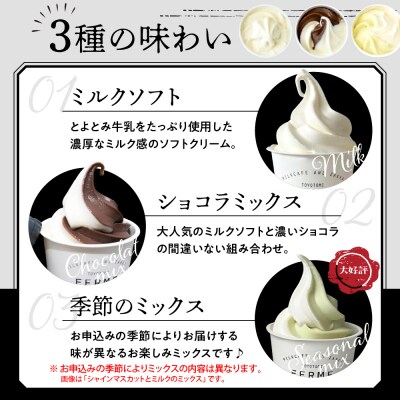 【6か月定期便】とよとみ牛乳ソフトクリーム【ミルク/ショコラミックス/季節のミックス 計12個】