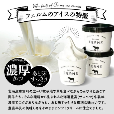 【3か月定期便】とよとみ牛乳ソフトクリーム【ミルク 120ml×12個】