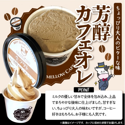 生ソフトクリーム ミルクetc3種セット【芳醇ミルク/芳醇カフェオレ/カフェオレ&ミルク】 計10個