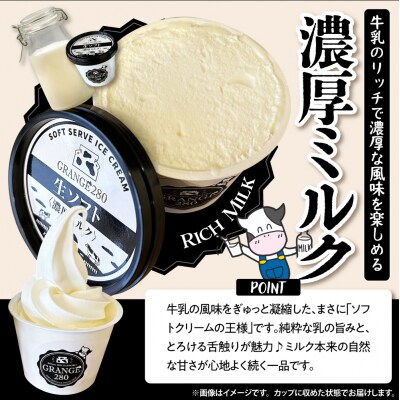 生ソフトクリーム【濃厚ミルク/芳醇ミルク】 計10個