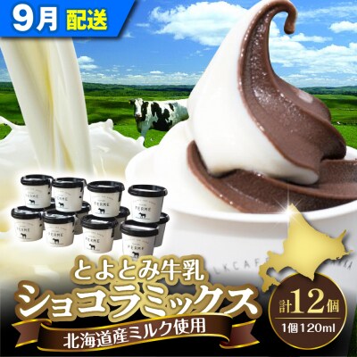 【2025年9月配送】とよとみ牛乳ソフトクリーム【ショコラミックス 120ml×12個】