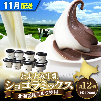 【2026年11月配送】とよとみ牛乳ソフトクリーム【ショコラミックス 120ml×12個】