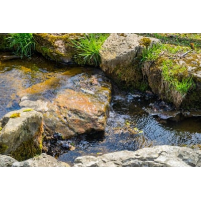 【1日2組限定】兜沼オートキャンプ場 至れり尽くせりキャンプ体験