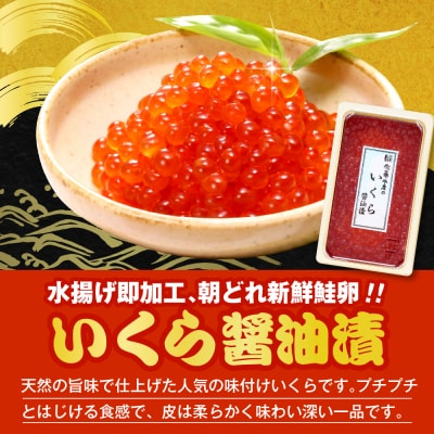 佐藤水産 鮭さざ浪漬(塩糀漬)2切入&いくら醤油漬け130g×1個セット【KAT-607】