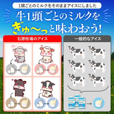 1頭のミルクを丸ごと味わうアイスクリーム 80ml×12個《牛3頭セット》【石原牧場】