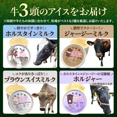 1頭のミルクを丸ごと味わうアイスクリーム 80ml×12個《牛3頭セット》【石原牧場】
