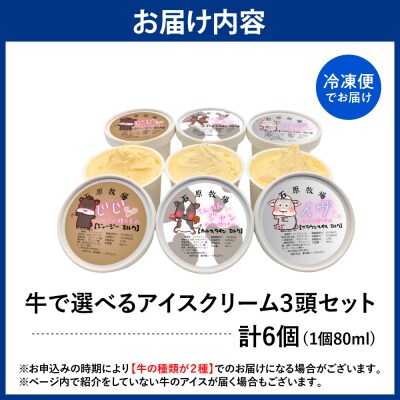 牛で選べるアイスクリーム 80ml×6個《牛3頭セット、品種2~3種》【石原牧場】