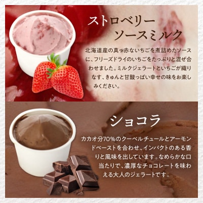 E.den(エデン) 豊富牛乳ジェラート ベーシック 12個セット