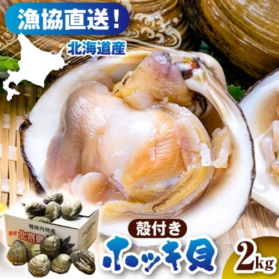 【数量限定】 獲れたて直送 ホッキ貝 約2kg