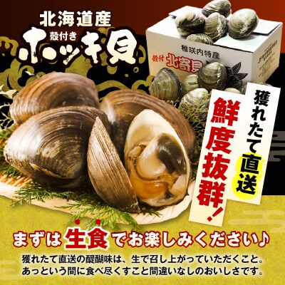 【数量限定】 獲れたて直送 ホッキ貝 約2kg