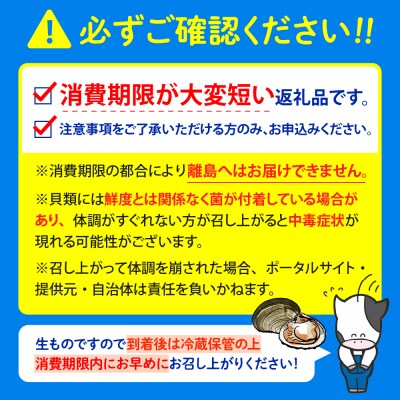 【数量限定】 獲れたて直送 ホッキ貝 約2kg