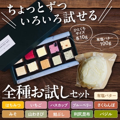 とよとみバター全種お試しセット【有塩バター100g×1個、10種アソートセット】