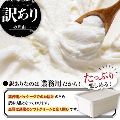とよとみ牛乳ソフトクリーム パーティーサイズ【ミルク 1L×1個】|訳あり 業務用 ファミリーサイズ
